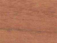 afromosia exotic wood image