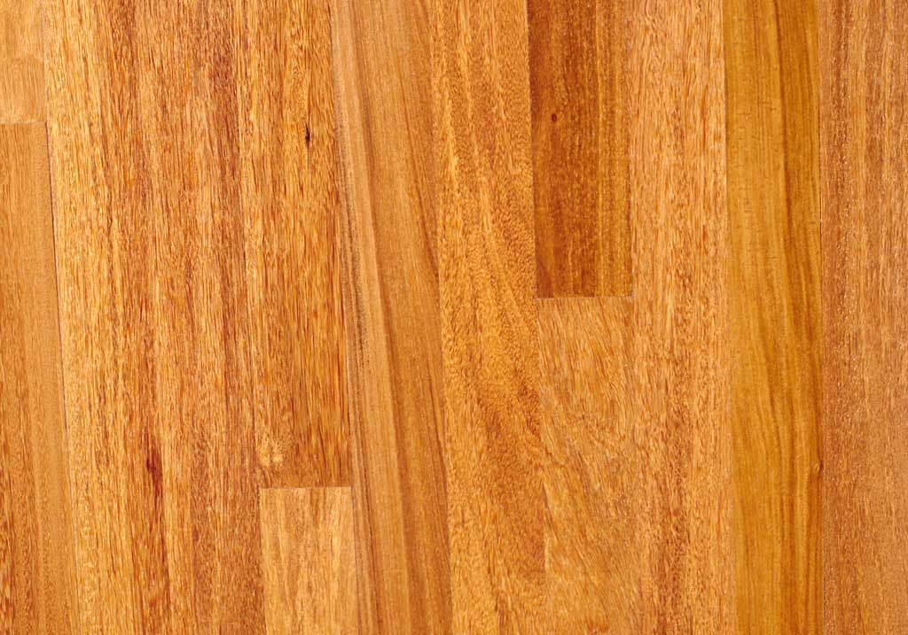 brazilian teak exotic wood image