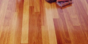 brazilian teak flooring exotic wood image