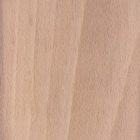 Know your wood:  European Beech