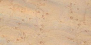 hard maple exotic wood image