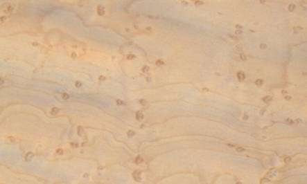 Know Your Wood:  Hard Maple
