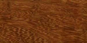 iroko exotic wood image