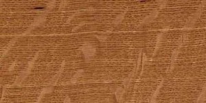 white oak exotic wood image